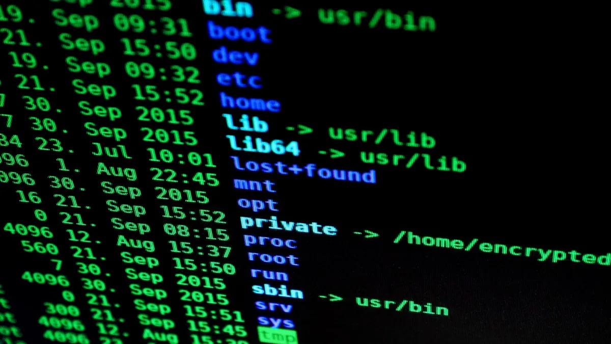 Codice informatico illuminato sullo schermo di un computer